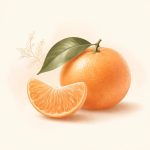 نارنگی