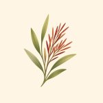چای قرمز رویبوس